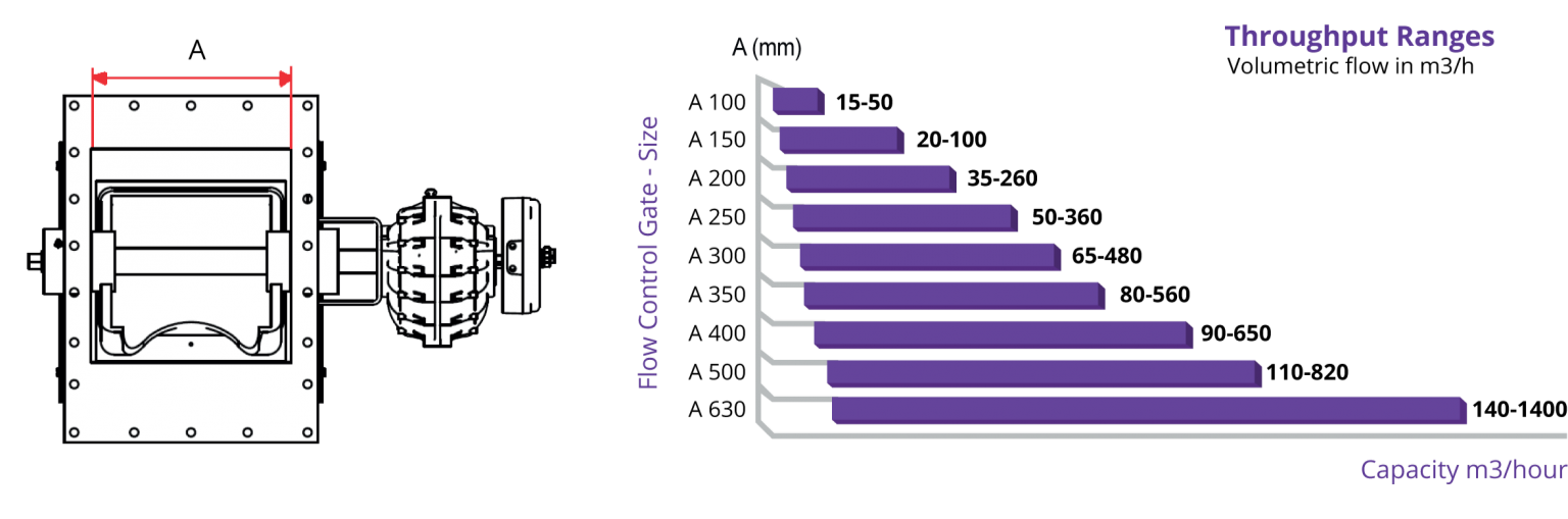 Size and Capacity